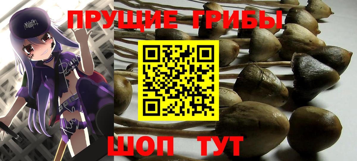 Псилоцибиновые грибы мухоморы Лесосибирск